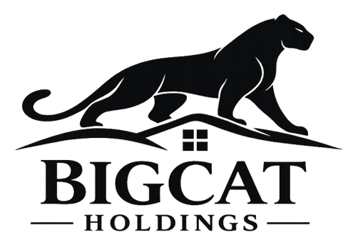 BIGCAT Holdings Logo